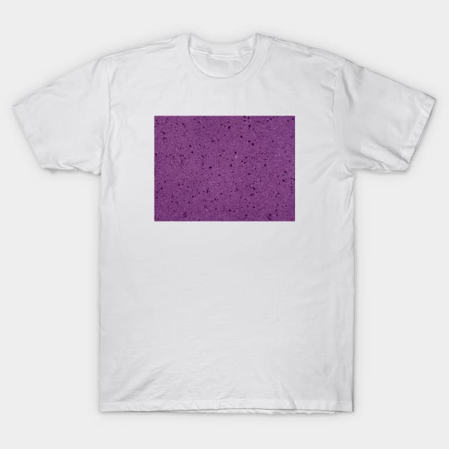 Purple Marble Texture T-Shirt by MarbleTextures